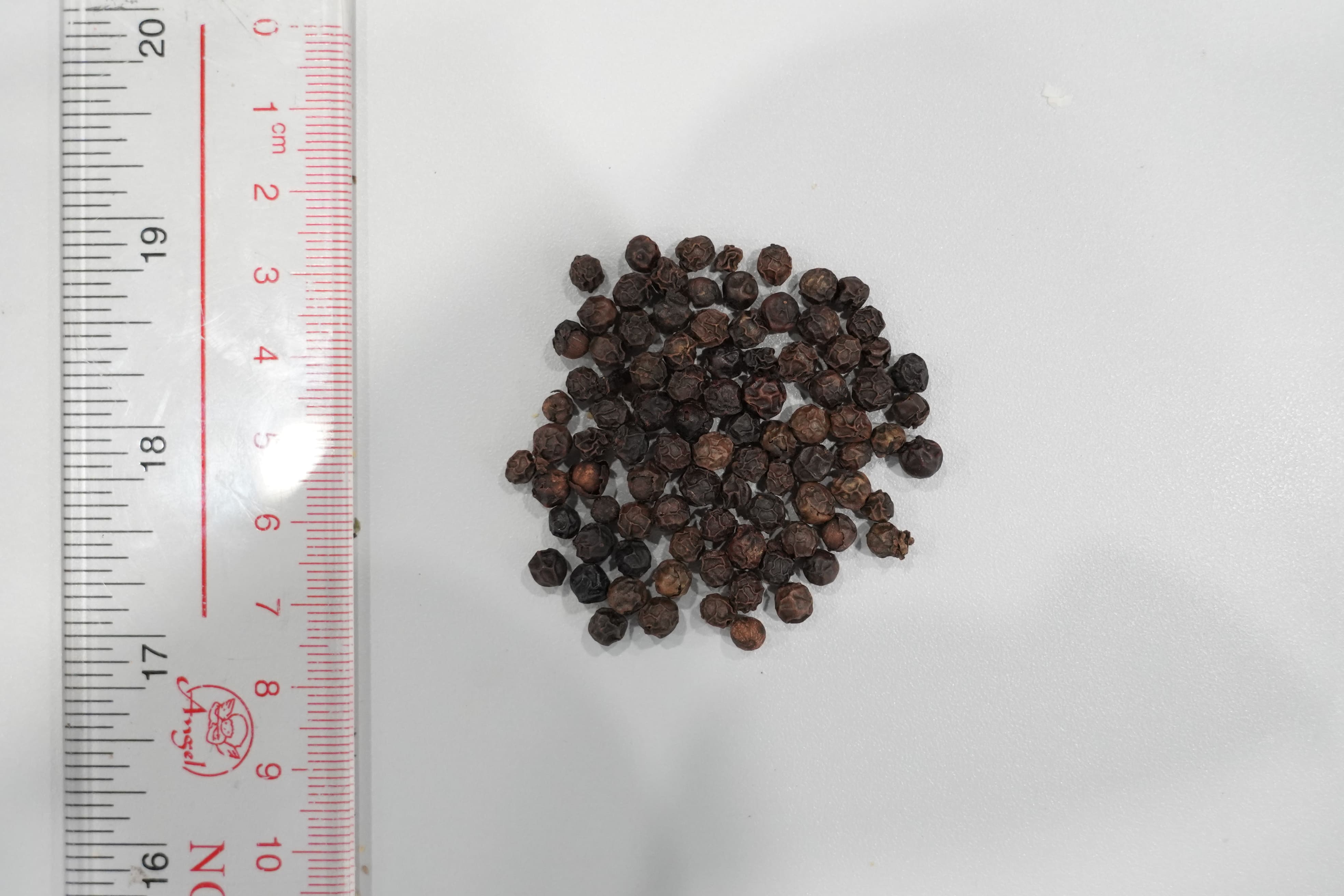 黑胡椒