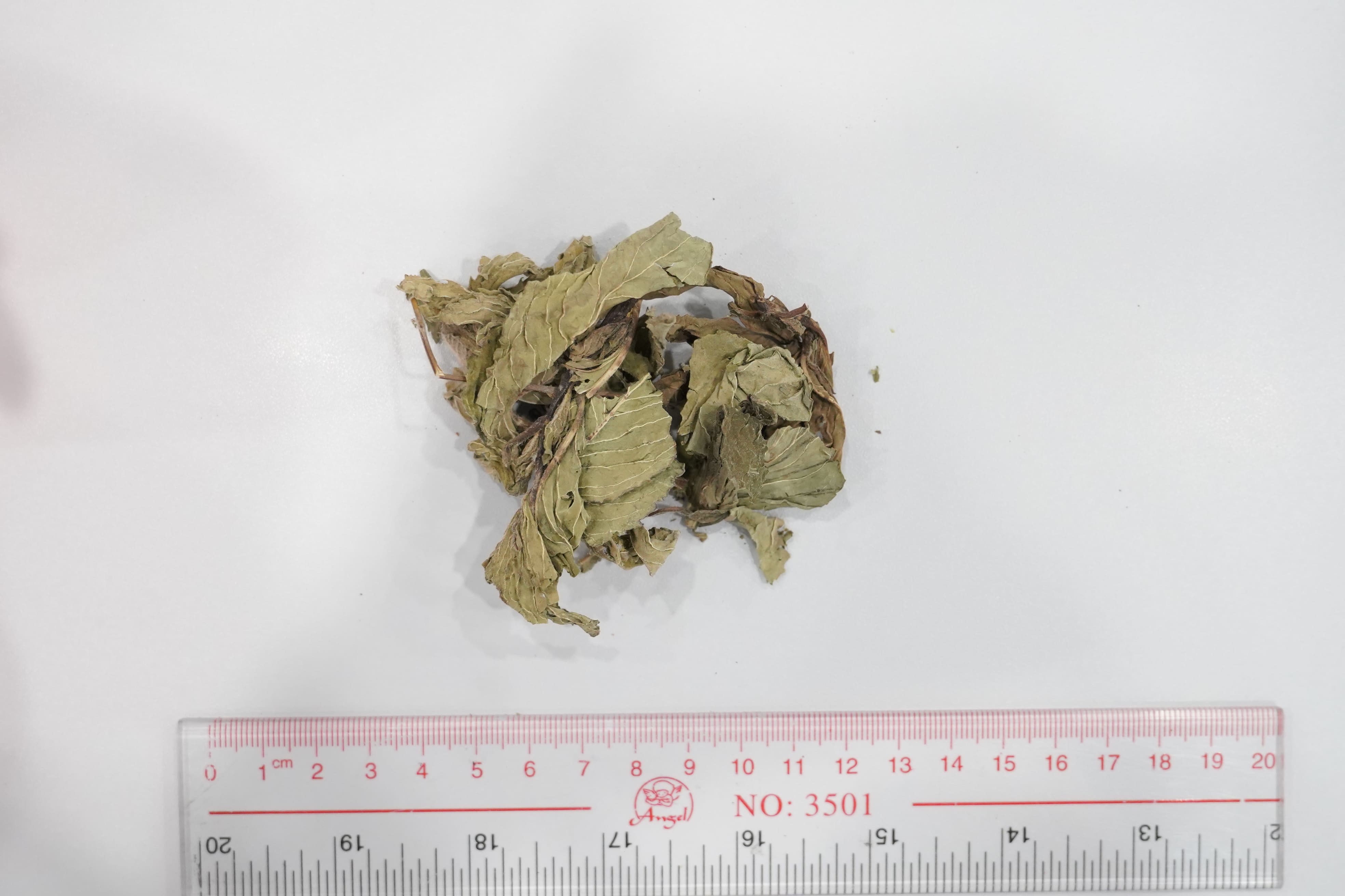 薄荷